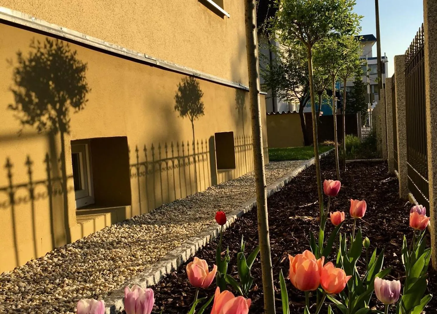 Top Wohnung In Stadtvilla Mit Terrasse Und Garten Nuremberga